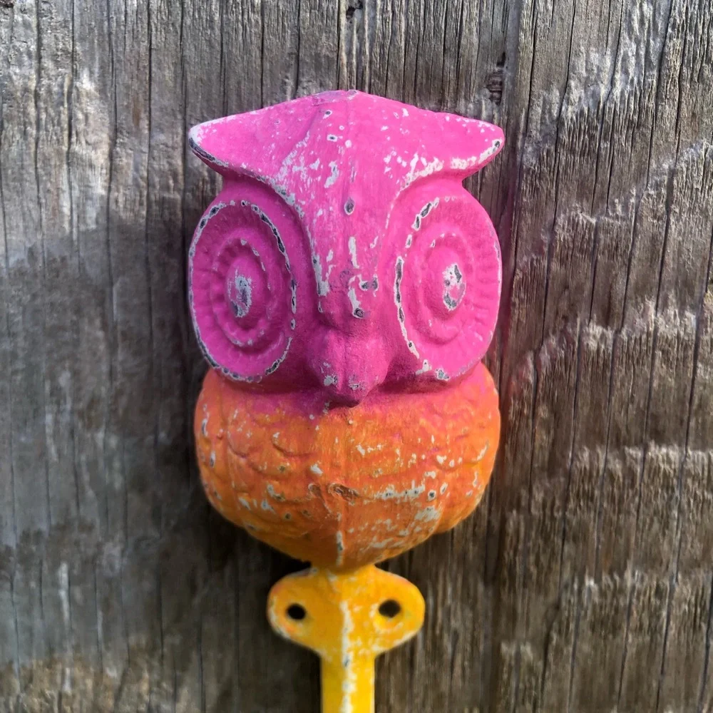 Upcycled Pink Orange and Yellow Cast Iron Owl Hook